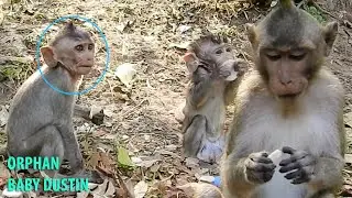 Very Pity poor orphan baby Dustin feels very hungry & looking for food