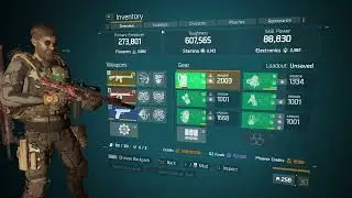 Division 1: Striker 9k Stamina PVE damage build 2023