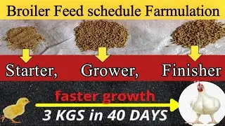 Broiler Feed Schedule Farmulation | Starter,Grower, Finisher