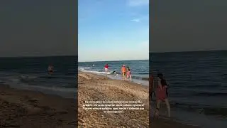 Почему люди думают что после собаки всем приятно купаться?