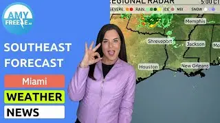 Miami Weather Update: Sunny Skies & Seasonal Storms!