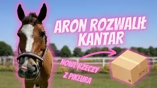 ARON ROZWALIŁ KANTAR?😱 UNBOXING PACZKI OD PIKEURA 😍 NAJŁADNIEJSZE BRYCZESY JAKIE WIDZIAŁAM 💗
