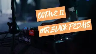 Octave II - Mr Black Pedals