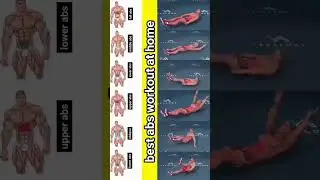 best abs workout at Home #oblique #lower abs exercise #middle abs #upper abs  #full abs exercise