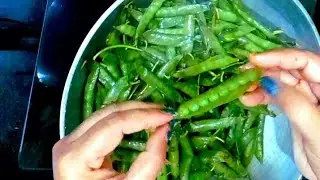 अशा पद्धतीने ही रेसिपी बनवून बघा/शेंगा फ्राय रेसिपी/Matar shenga fry recipe/snack recipe /Shenga fry
