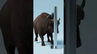 &iquest;Qu&eacute; animal puede doblar una barra maciza de acero?