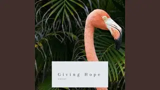 Giving Hope