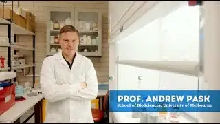 Prof. Andrew Pask &ndash; The plastic in our aluminium cans