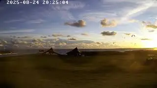 Svencelė Live