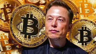 Elon Musk launches pro-Bitcoin political party.