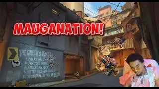 Demo Buddo