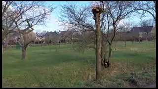 Insecthotel & Urban Farming Appelhof Winsum Municipality Het Hogeland The Netherlands