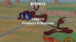 27 BONUS - SEARCH