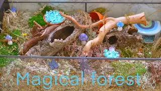 magical forest | natural hamster cage