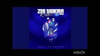 Platonic Darwin President --mugove (on spot light) Zebsikira Riddim volume 4
