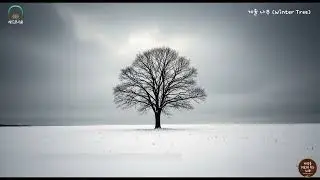 2 겨울 나무 Winter Tree, 마음을 위로해 주는 따듯한 음악,음악에 바다에 초대 합니다.
