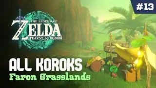 ALL Faron Grasslands KOROK Seeds | Zelda Tears of the Kingdom