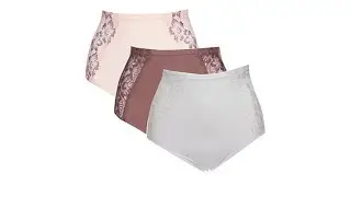 Rhonda Shear Seamless Lace Brief 3pack