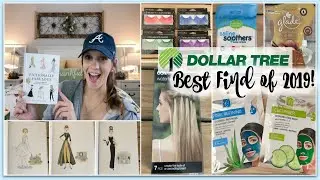 DOLLAR TREE HAUL | THE BEST 2019 HIDDEN GEM FOUND!!!