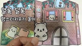 [채민이공방🧡놀이] 햄스터 키우기 놀이 🐹  스퀴시북놀이