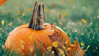Peaceful music, Relaxing music, Instrumental music, Autumn Nature 