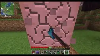 Minecraft Forge 1.20.4 Survival