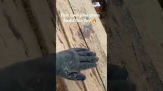 This cool pine wood grain looks like fire 🔥 #sawmilling #nature #wood #beauty #Diy #homestead