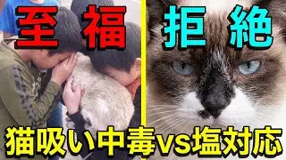 さんぽ中に三人組の少年に絡まれたww