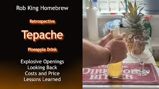 Tepache Retrospective | Cost | Schedule | Price per Pint | Evaluation and Ranking | Lessons Learned