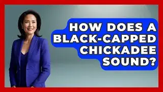How Does A Black-capped Chickadee Sound? - Bird Watching Diaries