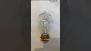 Unusual and Obscure Antique Light Bulbs from my Collection