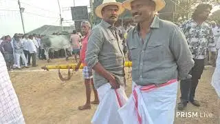 రామ్–లక్ష్మణ్  అన్నంబోట్లవారిపాలెం Pavuluri VeeraSwami Chowdary Seniors bulls #om 