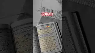 Al Quran Urdu Translation 📖|#quran #surahfajr #quranrecitation #lightofislaam #shorts #shortsfeed