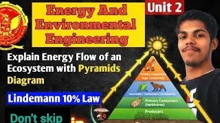 Energy Flow in Ecosystem | Lindemann 10% Law |Energy, Environmental Engineering ES301 | RGPV 3rd Sem
