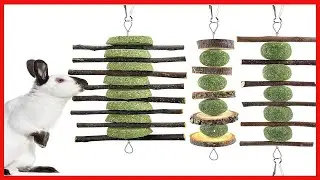 Quality product -  ERKOON 3PCS Bunny Chew Toys, Rabbit Chew Toys for Teeth Grinding, Improve Dental