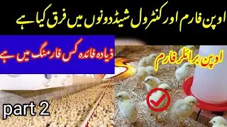 Open farm vs control broiler farm| part 2