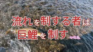 宇宙の普遍性を利用して巨鯉を釣る方法