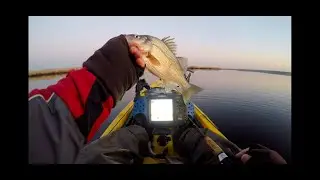 NJ Winter White Perch Fishing