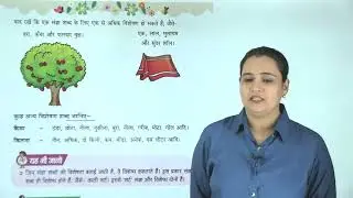 Ch 9 | Bright Mark Books | vyakaran | Class 02 | Visheshan | For children