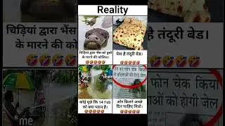 Reality Motivation Memes | Funny But Inspiring Video #motivation #inspiration #quotes #memes