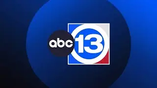 After seven months without representation, Houston&rsquo;s 18th District heads to special election