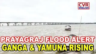 Yamuna River Water Level Rises After Heavy Rainfall In UP's Prayagraj | Flood Alert | CVR English