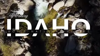 Fly Fishing The Boise National Forest