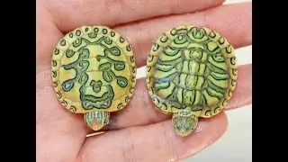 Hundreds of rare turtle morphs hatched!!!!