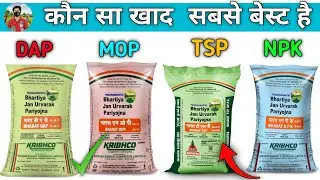 कौन सा खाद सबसे बेस्ट है? DAP, MOP, NPK  &ndash; कौन सा खाद सबसे ज्यादा पैदावार देगा| #KisanHelpGuru #DAP