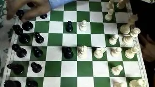 scholars mate black
