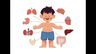 Guess the Organ! A Fun Body Parts Song #bodyorgans #bodyparts #bodysong #bodyfunctions