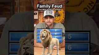 Name Top 8 Most DANGEROUS Animals 🦁