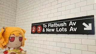 Hoyt Street Station (IRT Eastern Parkway Line)