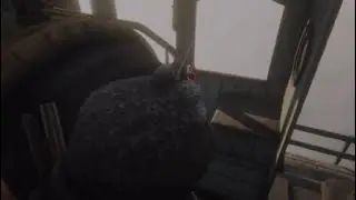 Man falls from train bridge Rdr2